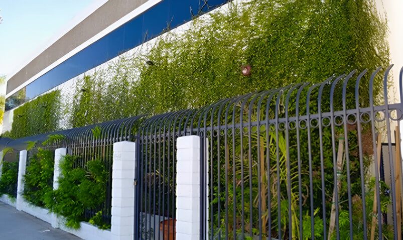 Lush green vertical garden on a building's wall, bordered by an elegant iron fence, enhancing the urban landscape.